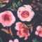 Autumn Peony