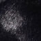Black Faux Fur