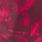 Red Divine Rose