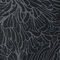 Midnight Blossom Print